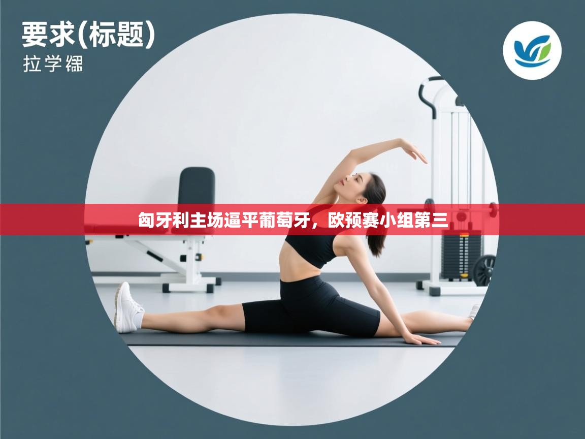 开云体育app官网下载地址-匈牙利主场逼平葡萄牙，欧预赛小组第三  第3张