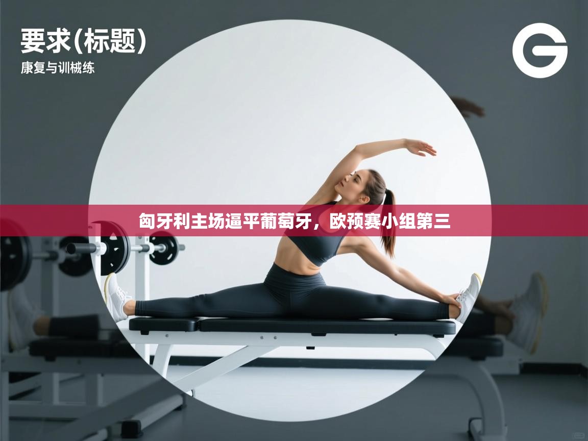 开云体育app官网下载地址-匈牙利主场逼平葡萄牙，欧预赛小组第三  第4张