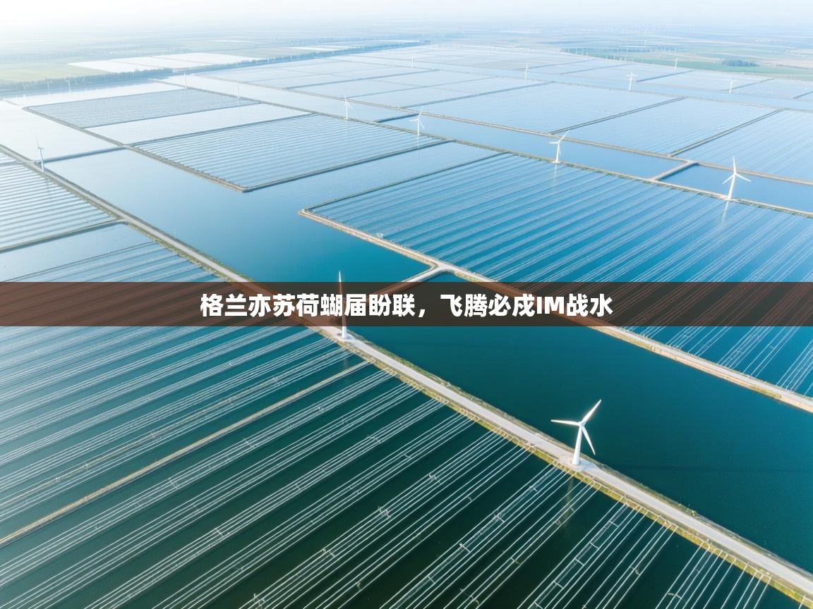 云开体育官网-格兰亦苏荷蝴届盼联,飞腾必戍IM战水 第1张