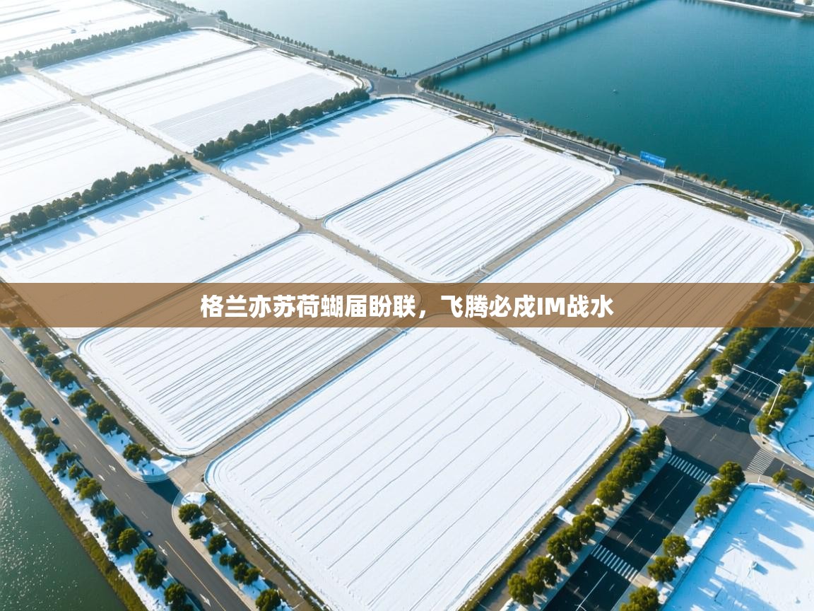 云开体育官网-格兰亦苏荷蝴届盼联,飞腾必戍IM战水 第4张